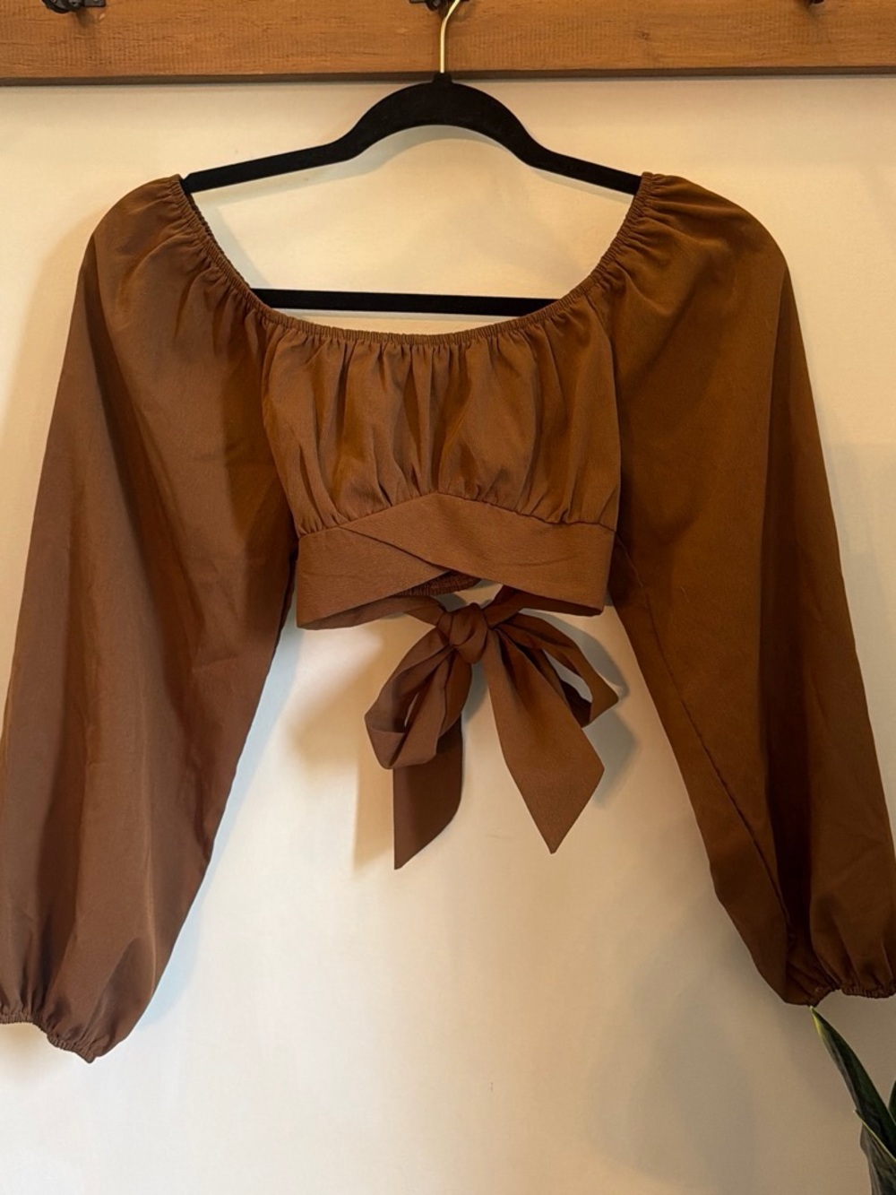SHEIN Brown Long Sleeve Tie-Back Crop Top